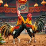 agen judi sabung ayam terbaik